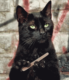 gif of black cat filing claws